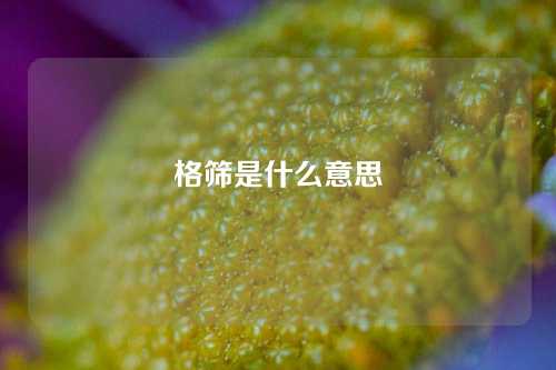 格筛是什么意思