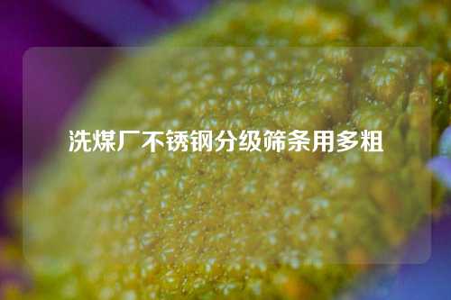 洗煤厂不锈钢分级筛条用多粗