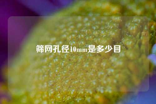 筛网孔径10mm是多少目