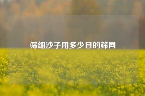 筛细沙子用多少目的筛网