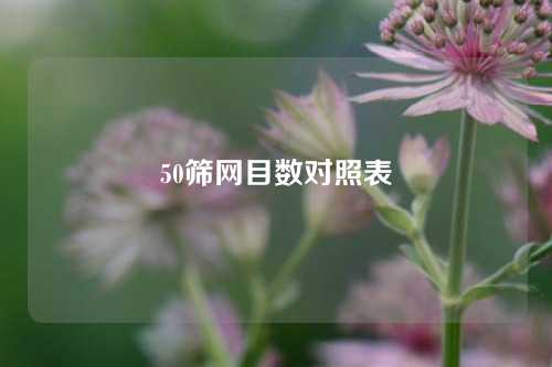 50筛网目数对照表