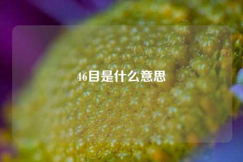 46目是什么意思