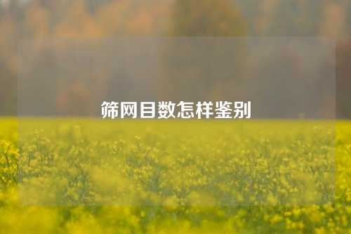 筛网目数怎样鉴别