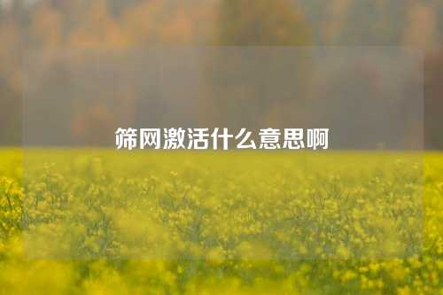 筛网激活什么意思啊