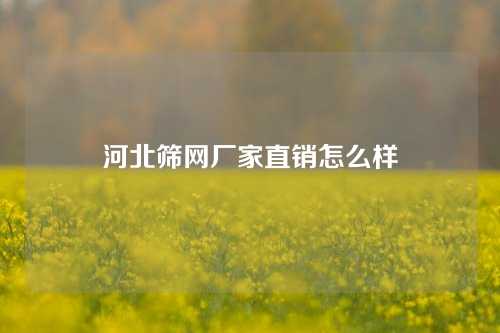 河北筛网厂家直销怎么样