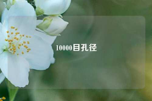 10000目孔径