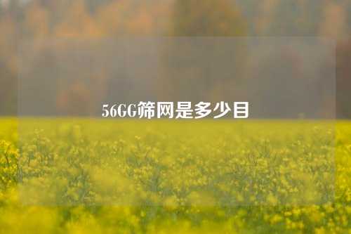 56GG筛网是多少目