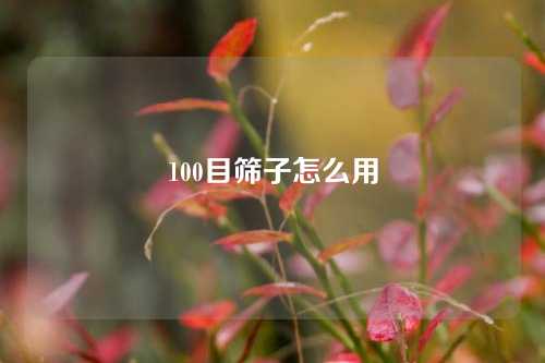 100目筛子怎么用