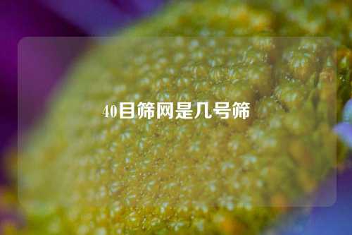 40目筛网是几号筛