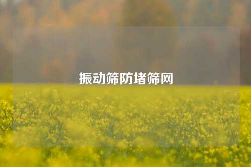 振动筛防堵筛网