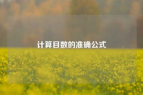 计算目数的准确公式