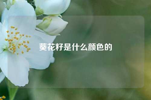 葵花籽是什么颜色的