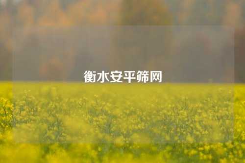 衡水安平筛网