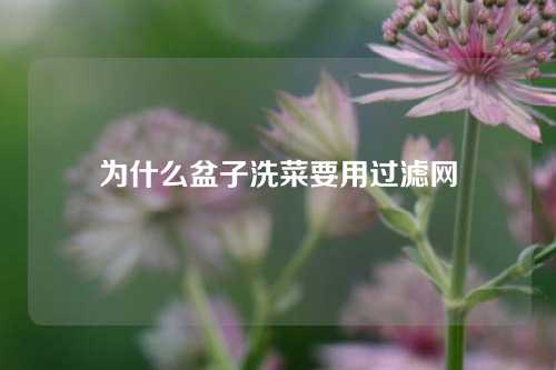 为什么盆子洗菜要用过滤网