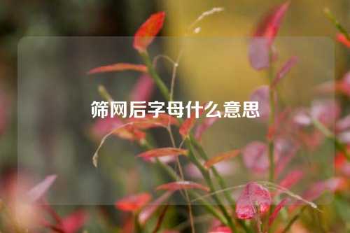 筛网后字母什么意思