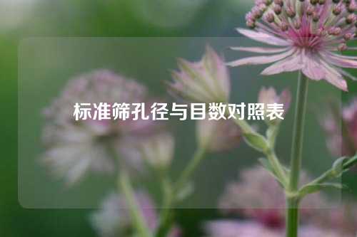 标准筛孔径与目数对照表