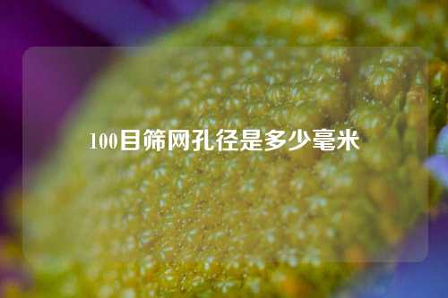 100目筛网孔径是多少毫米