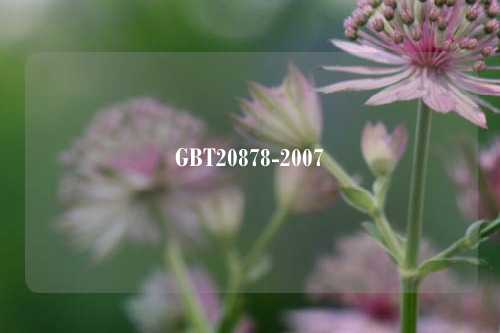 GBT20878-2007