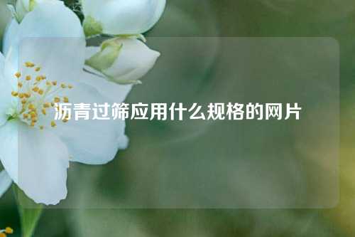 沥青过筛应用什么规格的网片