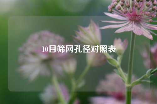 10目筛网孔径对照表