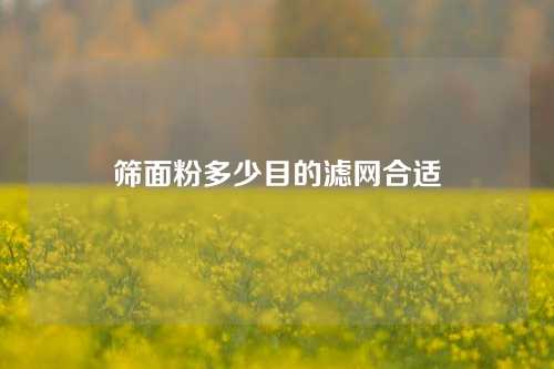 筛面粉多少目的滤网合适