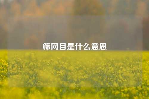 筛网目是什么意思