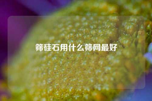 筛硅石用什么筛网最好