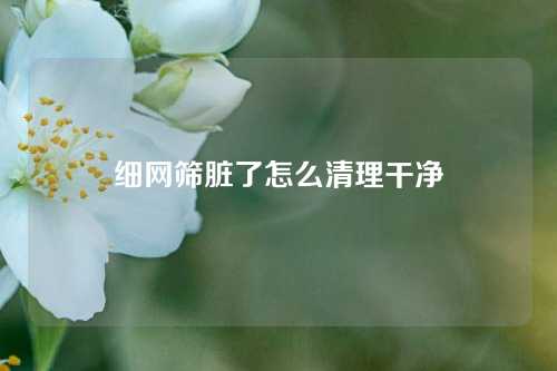 细网筛脏了怎么清理干净