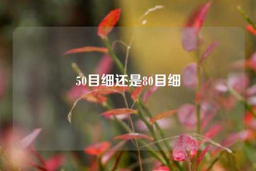 50目细还是80目细