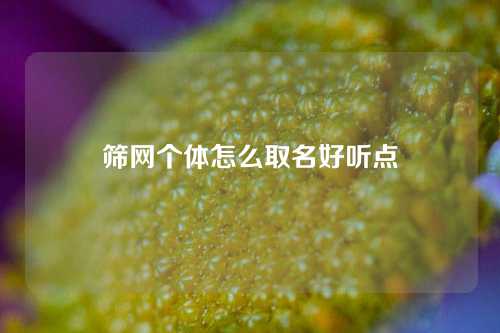 筛网个体怎么取名好听点