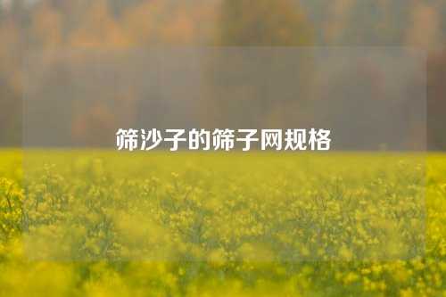 筛沙子的筛子网规格