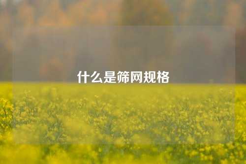 什么是筛网规格