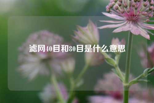 滤网40目和80目是什么意思