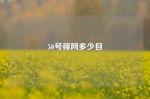 50号筛网多少目