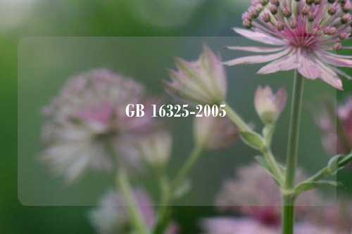 GB 16325-2005