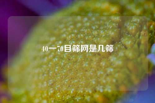 40一70目筛网是几筛