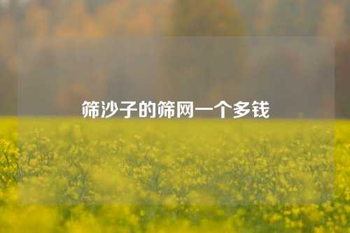 筛沙子的筛网一个多钱