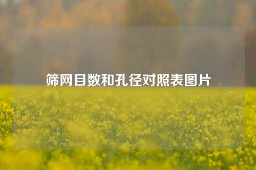 筛网目数和孔径对照表图片