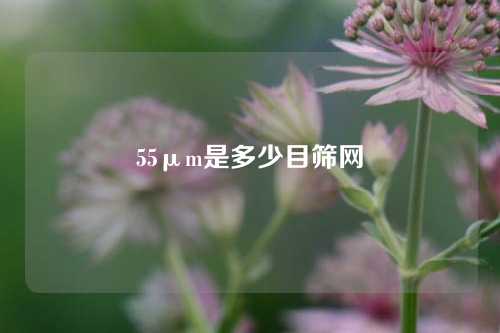 55μm是多少目筛网