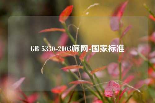 GB 5330-2003筛网-国家标准