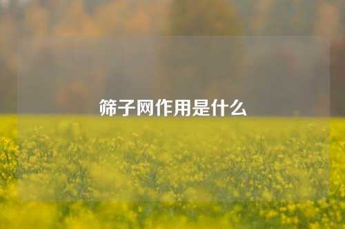 筛子网作用是什么