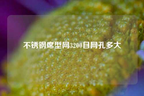 不锈钢席型网3200目网孔多大