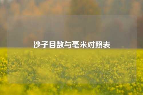 沙子目数与毫米对照表