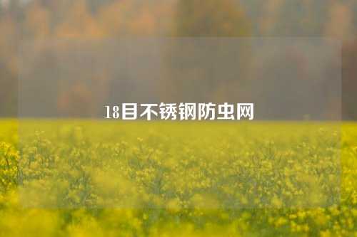 18目不锈钢防虫网