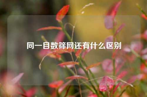 同一目数筛网还有什么区别