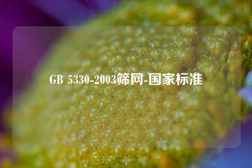 GB 5330-2003筛网-国家标准