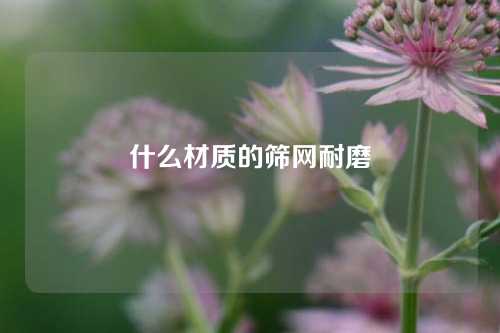 什么材质的筛网耐磨