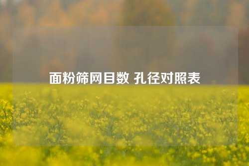 面粉筛网目数 孔径对照表