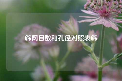 筛网目数和孔径对照表筛