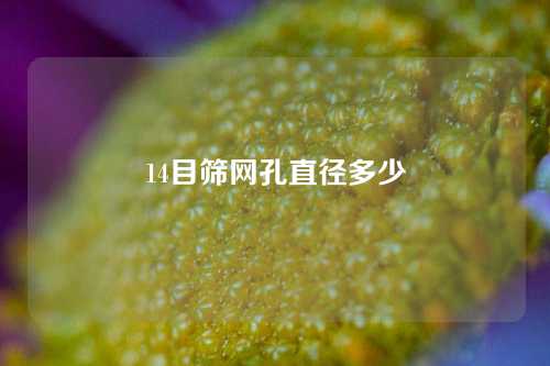 14目筛网孔直径多少